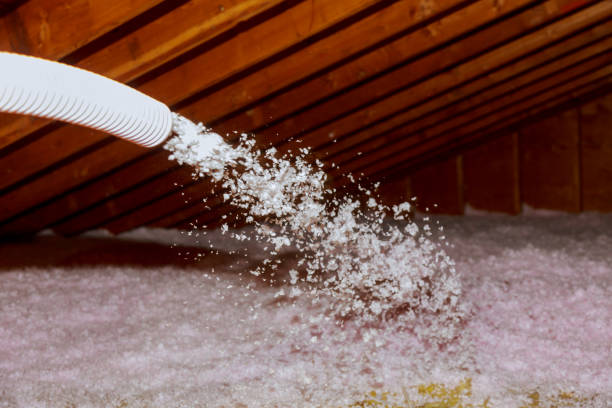 Best Specialized Insulation Services in New Philadelphia, OH