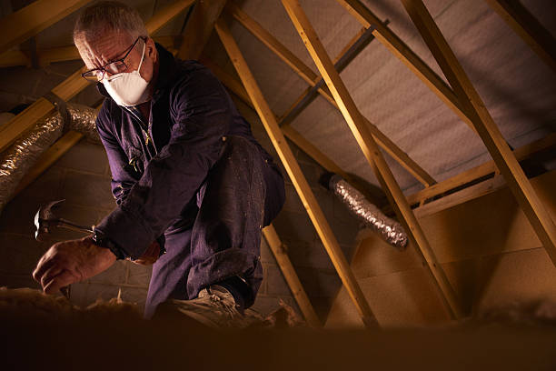 Best Commercial Insulation in New Philadelphia, OH